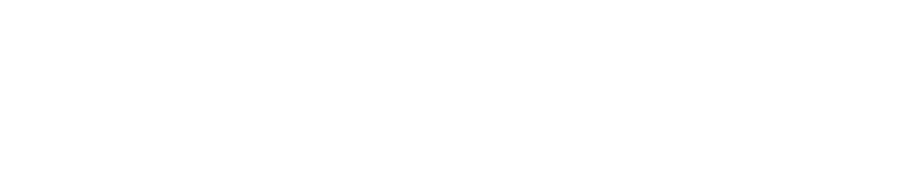 -	pension paddock / boxe
-	pension au boxe avec mise en liberté de votre cheval les jours où vous ne pouvez pas venir le monter
-	pension au pré pour les chevaux d’élevage et les retraités
-	soins, convalescence et remise en forme de votre cheval (pédiluve, inhalations, soins adaptés, …)
-	travail du cheval de sport (en fonction des disponibilités)
-	chevaux de sport
-	chevaux de loisir